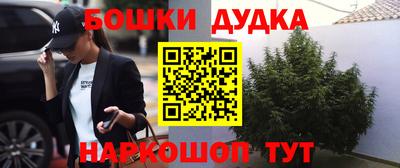 крисы Кинель