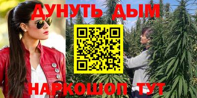 круглые Кингисепп