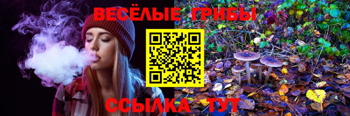 Галлюциногенные грибы MAGIC MUSHROOMS Кузнецк